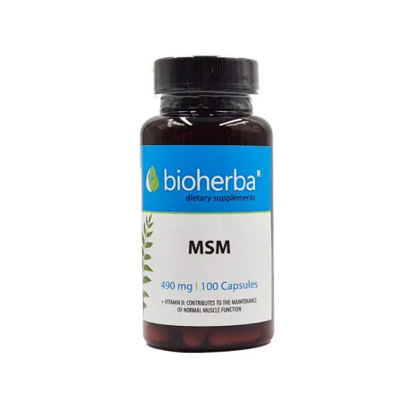 MSM (Метилсулфонилметан), 100 капсули